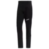 Adidas TERREX Terrex Techrock Mountaineering - Walking Trousers